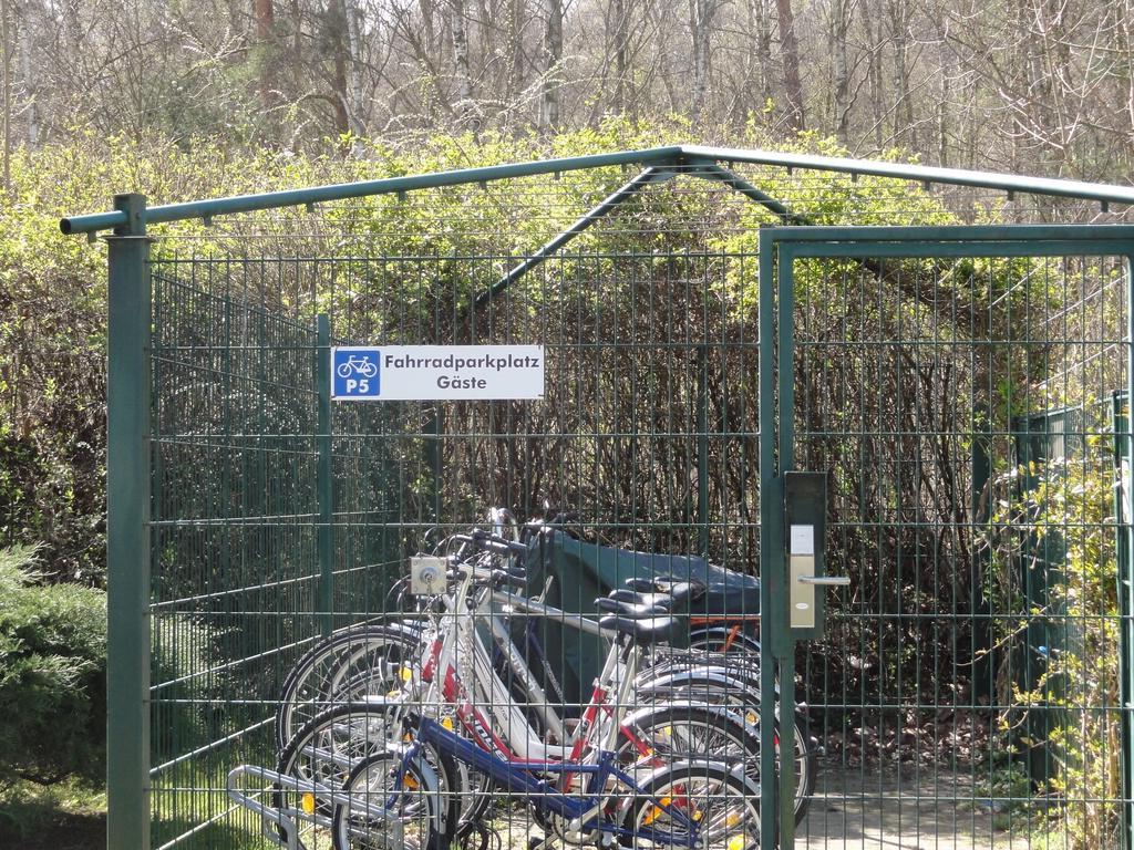 Ferienwohnung Im Duenenpark Binz Quarto foto